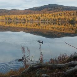 Алтай. Озеро Игисту Кёль