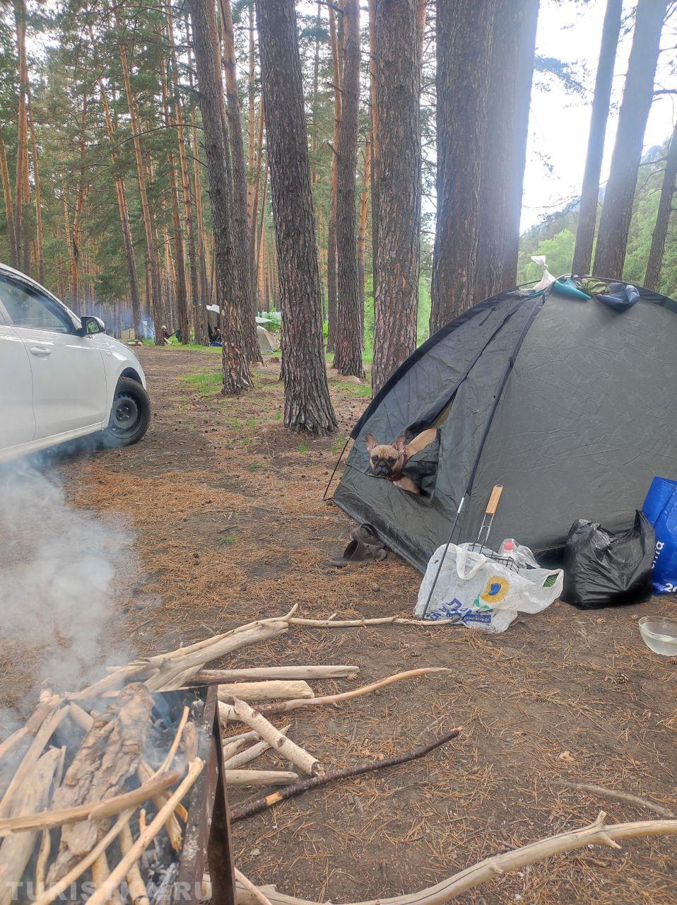 «Кто турист? я турист? не, я просто шашлык люблю!» 