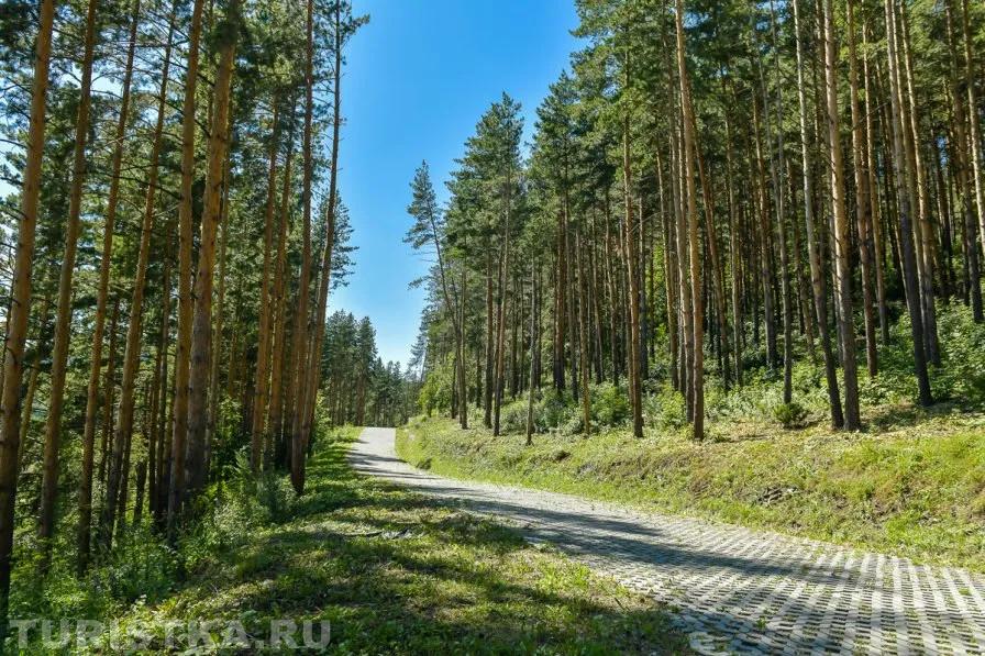 Тропа терренкур в Белокурихе