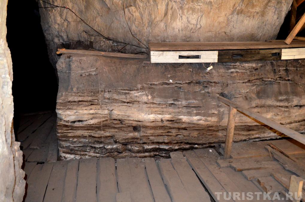 Слои Денисовой пещеры, размеченные археологами