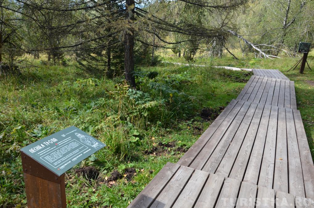 Начало Лесной тропы