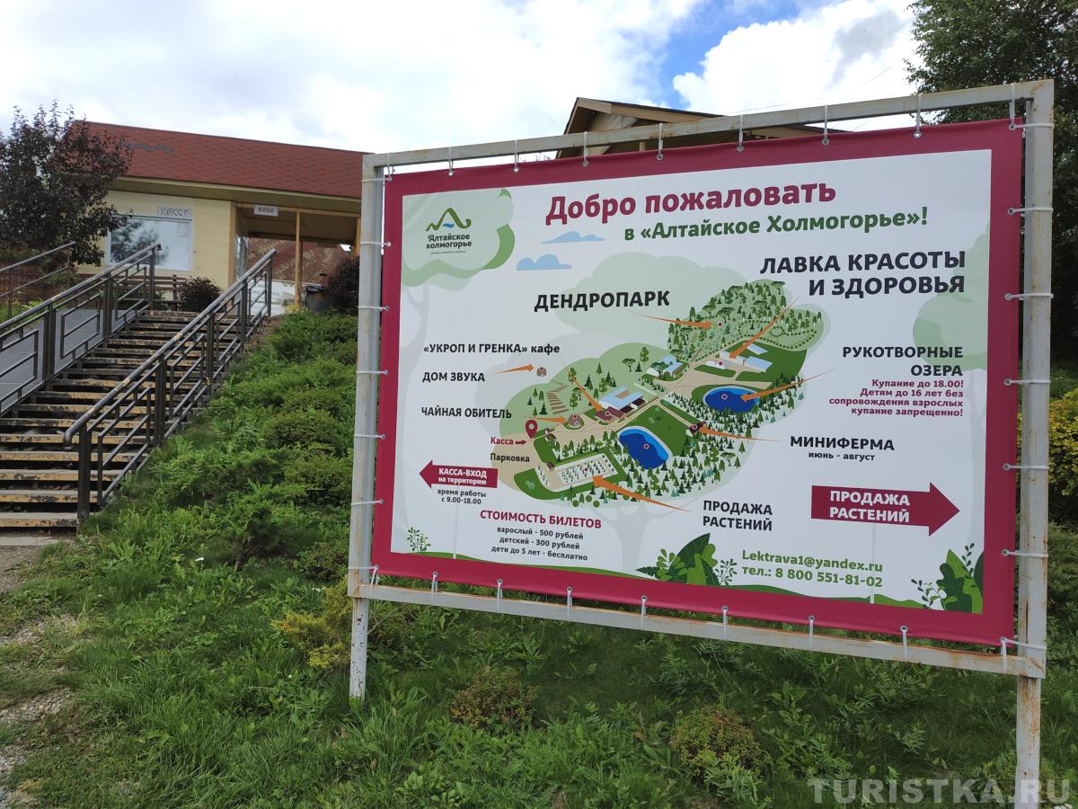 План Дендропарка Алтайское Холмогорье