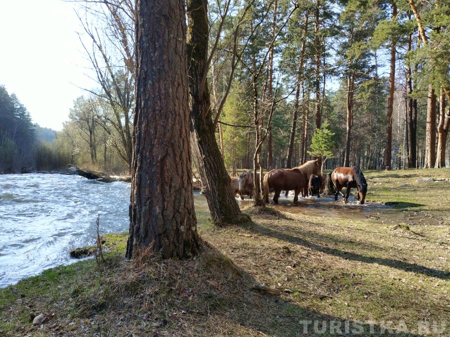 Река Элекмонар