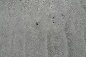 Песок на берегу озера Акколь