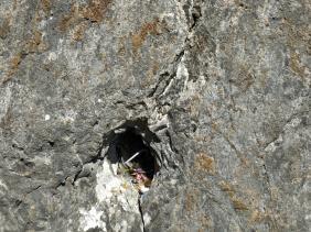 Камень с углублением перед пещерой