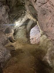 Горный Алтай : Тавдинские пещеры : Пришли от этой лестницы