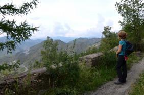 Отдых на Алтае : Старая дорога на перевал Чике-Таман : Вид со старой дороги