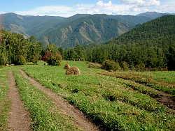 Горный Алтай : Перевал Кузуяк : Спуск с перевала в сторону Трех берез