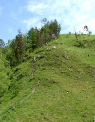 Отдых на Алтае : Что посмотреть рядом с Аскатом : Гора Обзорная с поклонным крестом : Последний крутой подъем к вершине 