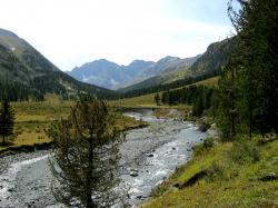 Горный Алтай : Река Акчан : Вдоль реки Акчан к озеру Акчан
