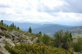 Отдых на Алтае : Что посмотреть на Семинском перевале : Гора Сарлык : Можжевельник между камнями и одиночные кедры на склоне г. Сарлык
