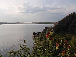 Вид на северный берег Савушкиного озера