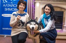 Горный Алтай : Гонки на собачьих упряжках «Алтай-драйв-2017» : «Интервью дня» на ТВ «Катунь24»