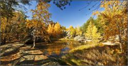 Отдых на Алтае : Озеро Моховое : Озеро Моховое осенью