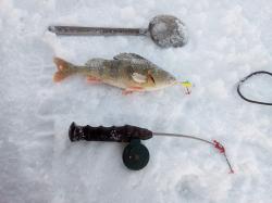 Рыбалка на озере Уткуль на Алтае