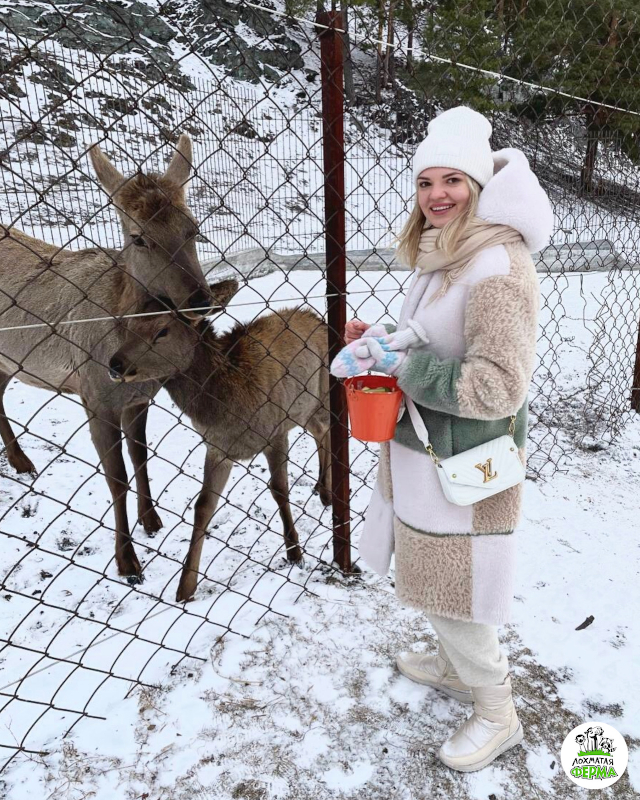 Лохматая ферма