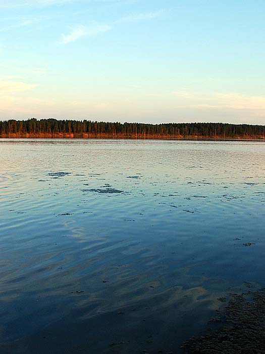 Соленое озеро алтайский край яровое фото