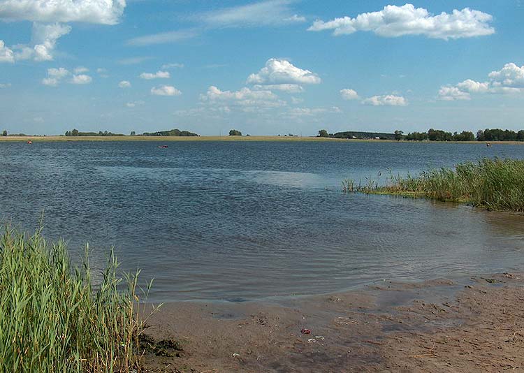 Рощинское озеро фото