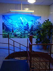 Курорт Белокуриха : Отдых в Белокурихе : Лестница на нижний ярус в аквапарке