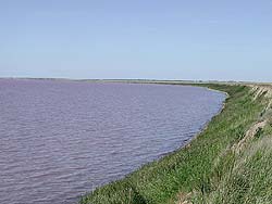 Озера Озеро Кучукское