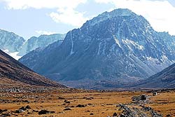 Горный Алтай : Спортивная экспедиция «От барханов до снегов» : У подножья массива Тургэн