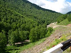 Горный Алтай : Велопоход «Два Алтая» : Дорога от Черги, перед развилкой на Кукую и Мухор-Чергу