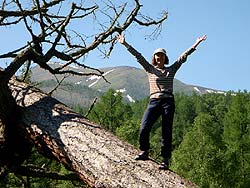 Горный Алтай : Велопоход «Два Алтая» : Люблю лазать по деревьям!