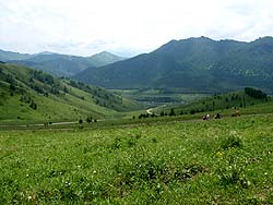 Горный Алтай : Велопоход «Два Алтая» : Перевал Сентелек