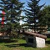 Горный Алтай : Бийск : Пушки из Бийской крепости